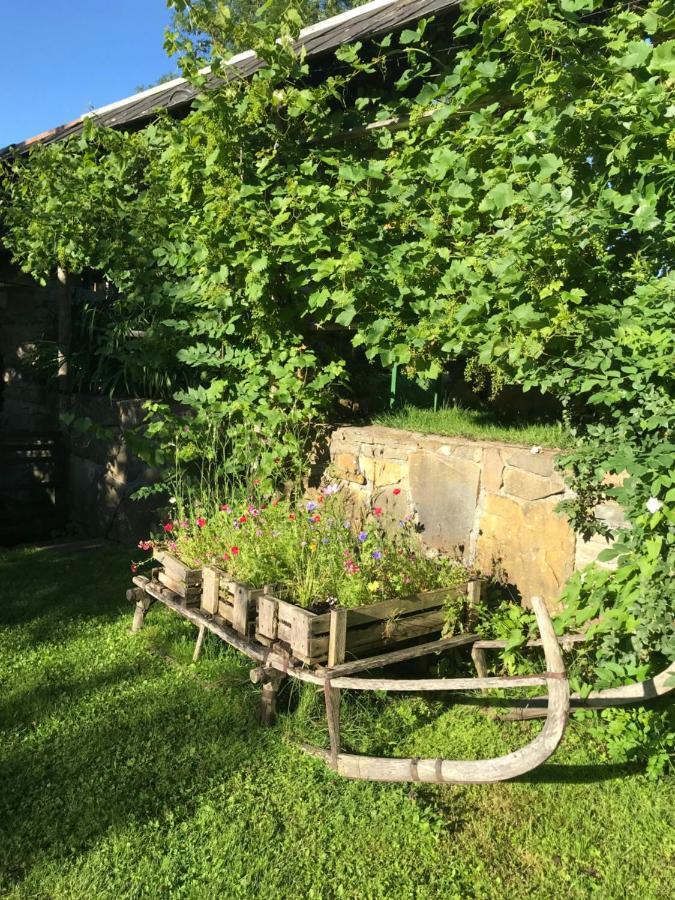 Appartement Traunseeferien Altmünster Eksteriør billede